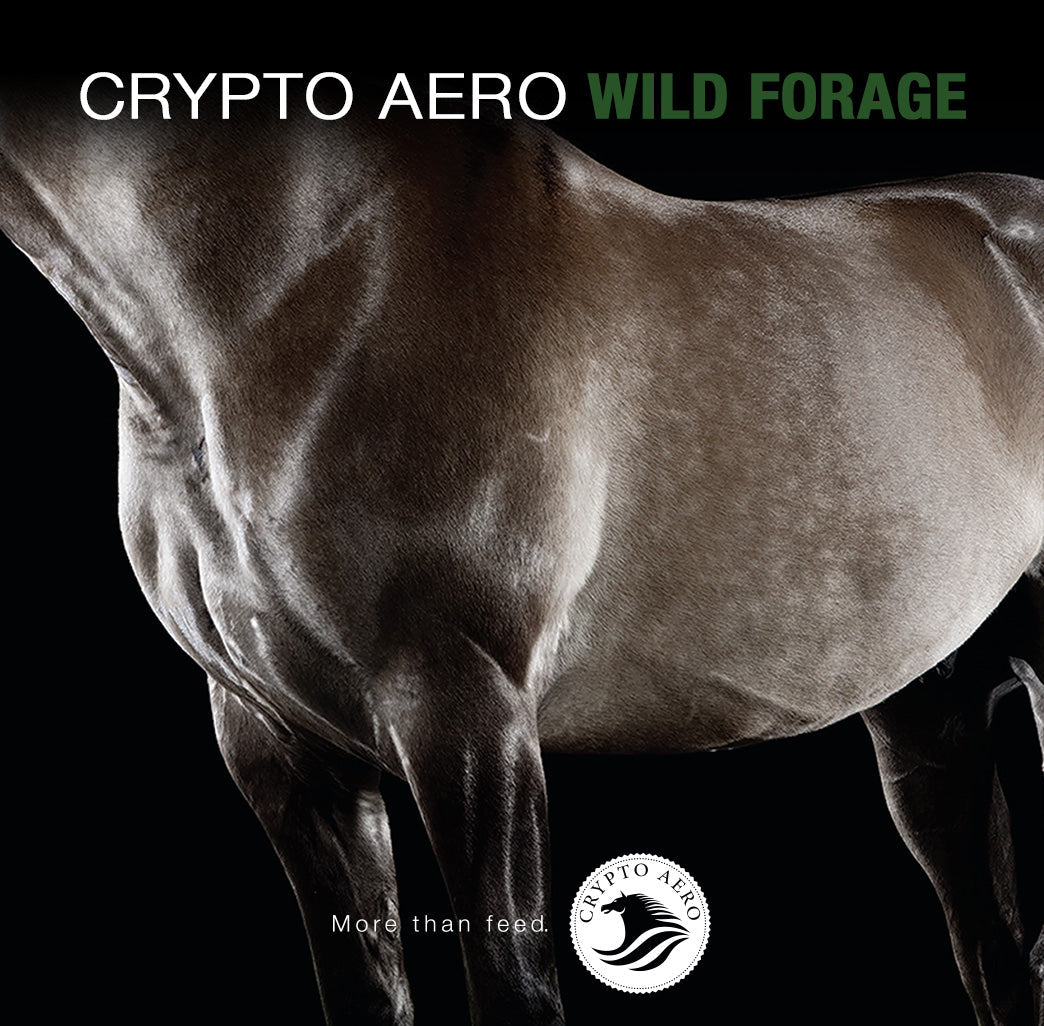 Crypto Aero Forage Feed