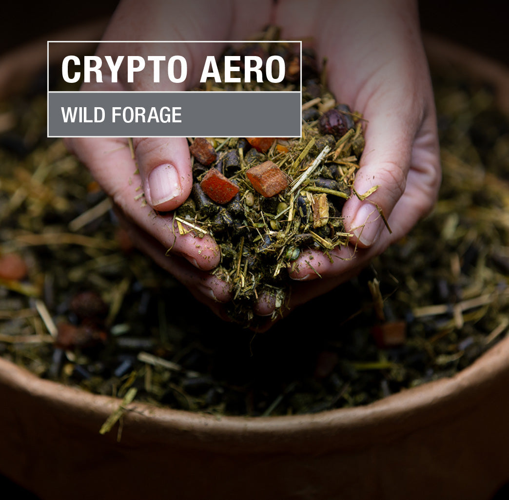 Crypto Aero Forage Feed