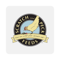 Scratch & Peck