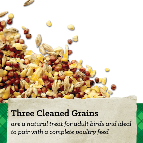 Nutrena® NatureWise® Scratch Grains