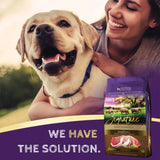 Zignature Limited Ingredient Pork Dry Formula Dog Food