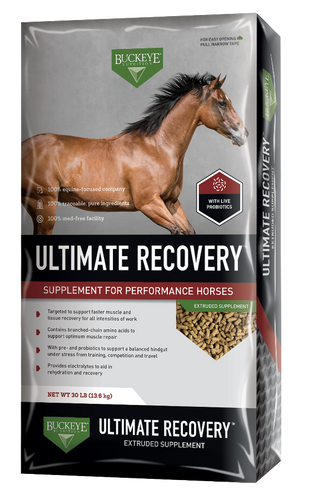 BUCKEYE™ Nutrition ULTIMATE RECOVERY™