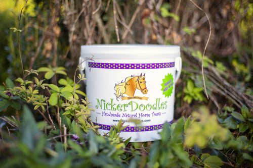 NickerDoodles Horse Treats